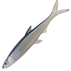 EVA Baits Real Tail 10cm