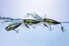 Jackall Chubby Popper 42