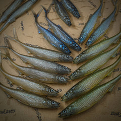 EVA BAITS Smelt V-Tail 20 cm