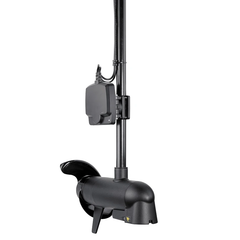 MEGA Live Sonar Transducer