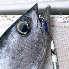 Varivas Avani Oceanworks Solid Ring