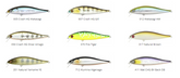 Pontoon21 Bet-A-Minnow  78SP-SR