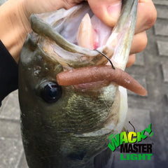 Varivas Wacky Master Light hook