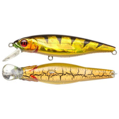 Pontoon 21 GREEDY GUTS 111 SP SR