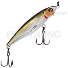 Pontoon 21 GREEDY GUTS 44F MDR