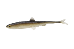 EVA Baits Vertical 20cm