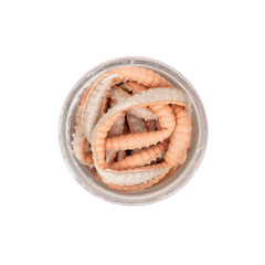 Berkley Powerbait POWER HONEY WORM 2.5cm