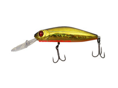 Pontoon 21 Crack Jack 78 F SR