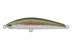 Jackson Trout Tune 55