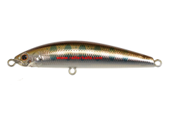 Jackson Trout Tune 55