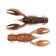 files/25-trd-crawz-molting-craw.jpg