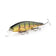 files/Aurora_Gold_Northern_Perch.jpg
