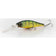 files/Gold_Skin_Perch_07c11ce0-d65c-4c36-9073-2566851a3791.jpg