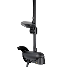 MEGA Live Sonar Transducer