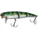 files/HL_BLUEGILL.webp