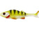 files/YELLOWPERCH_ae6d0ef9-fba5-4d22-b69e-9b4dfbd353d0.jpg