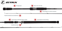 Zetrix Hayron 2nd Generation HRC-842SBE 254cm 200g
