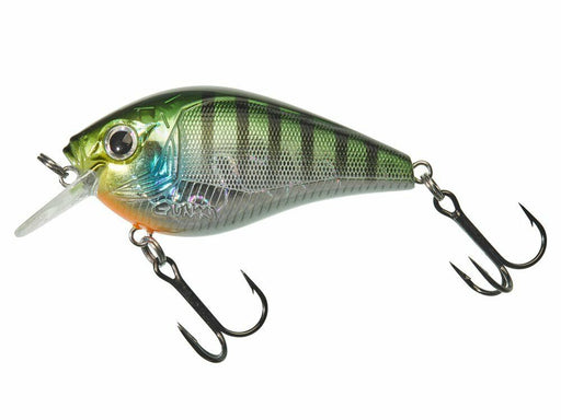 120Mm /43G Big Crankbait Wobblers for Trolling Popper Bass Fishing Lures  Topwater Pike Fishing Baits 120Mm-43G Colora, Lure Kits -  Canada