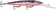 files/glasspurpleperch_png_a6952ef7-5cb7-436e-87b3-64f68271c03e.png