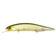 files/realis-jerkbait-120sp-ccc3176-2-1.jpg