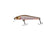files/zipbaits-rigge-56fzipbaits-637570_daee23e6-0dc0-4ab7-b826-003afe93be06.jpg