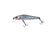 files/zipbaits-rigge-56fzipbaits-851121_5c595d05-07d6-4fb0-a931-7c508dc6378e.jpg