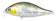 products/Bet-A-Shad75F_0014_R30Funa.jpg