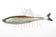 products/bleak-16cm-V-greentail.jpg