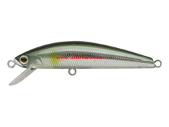 jackson-trout-tune-55-