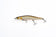 products/zipbaits-orbit-110spzipbaits-911302.jpg