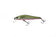 products/zipbaits-rigge-56fzipbaits-967544.jpg
