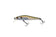 products/zipbaits-rigge-56szipbaits-129685.jpg