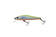 products/zipbaits-rigge-56szipbaits-655772.jpg